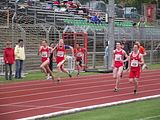 DSCF5331_800x600